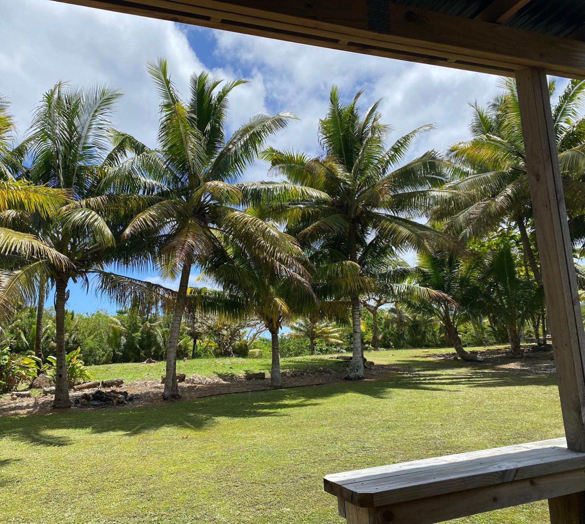 David'S Fale, Alofi, Niue Dış mekan fotoğraf